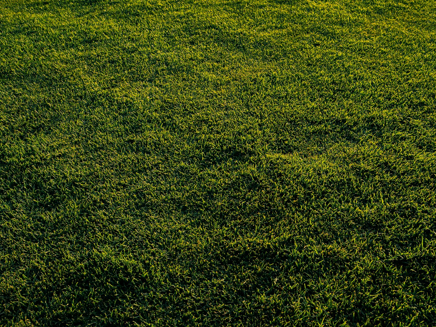 Aeration and fertilizing